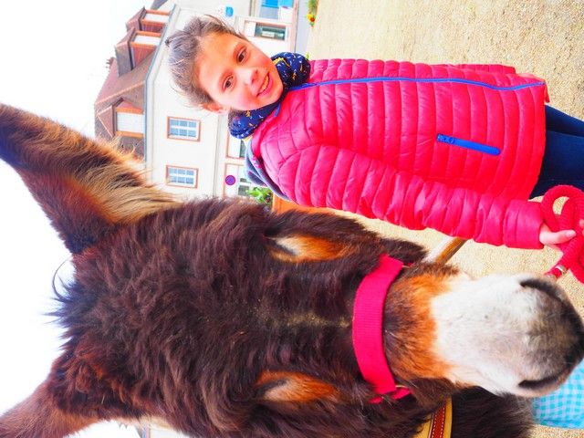 2017 carnaval1 (15).jpg